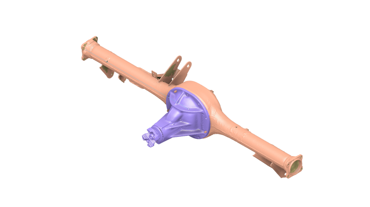 3D Scans